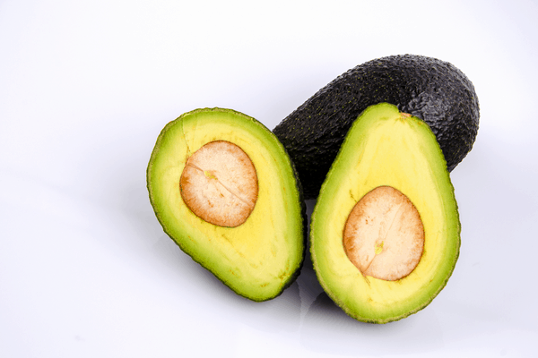 can dogs eat avocado