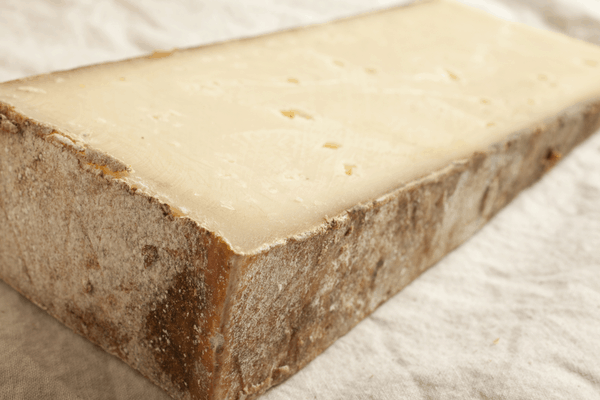 fontina cheese