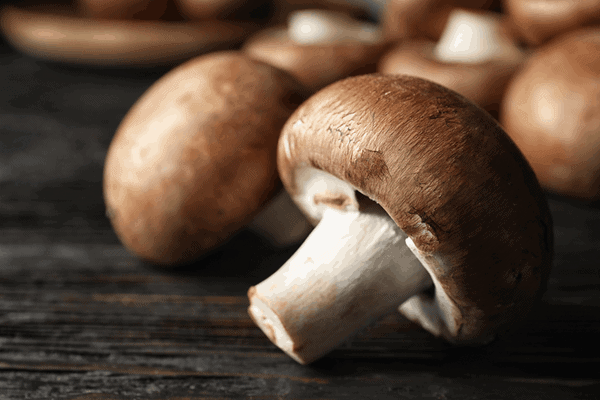 Description of Mushroom-Cremini vs Portobello