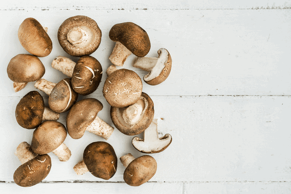 Collection of Mushrooms- Cremini vs Portobello