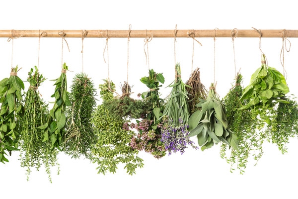 Deliciously Flavorful Dishes