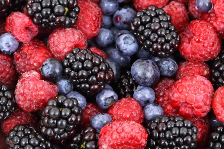 foodies-berries